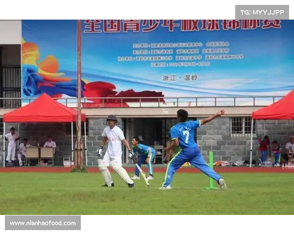 印度板球联赛商业价值突破50亿美元 成全球第二大体育赛事