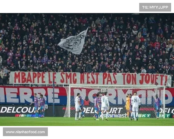 墨尔本胜利主场连败引发球迷抗议球队表现不佳引关注