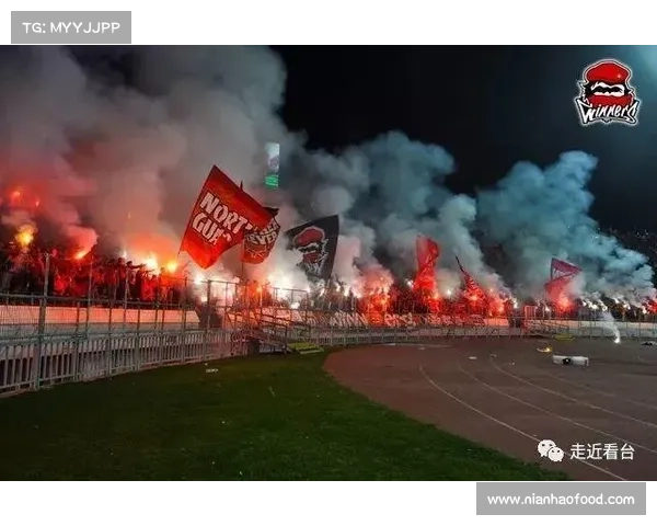 维达德卡萨布兰卡非洲足球贡献奖历程与影响分析