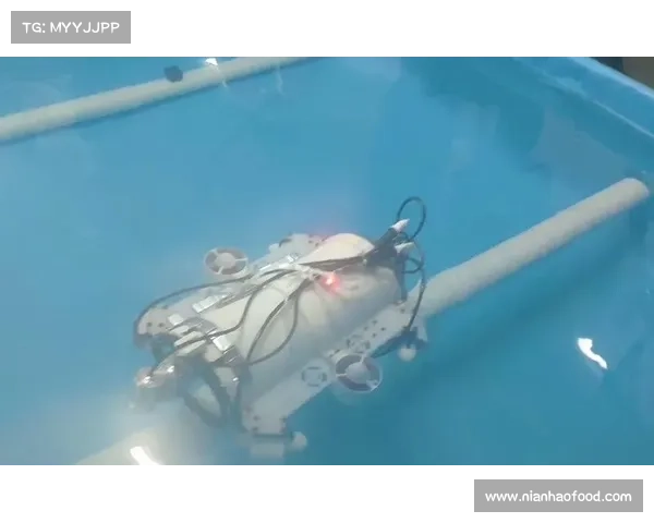 水下跟拍机器人技术革新引发争议 是否会影响比赛公平性
